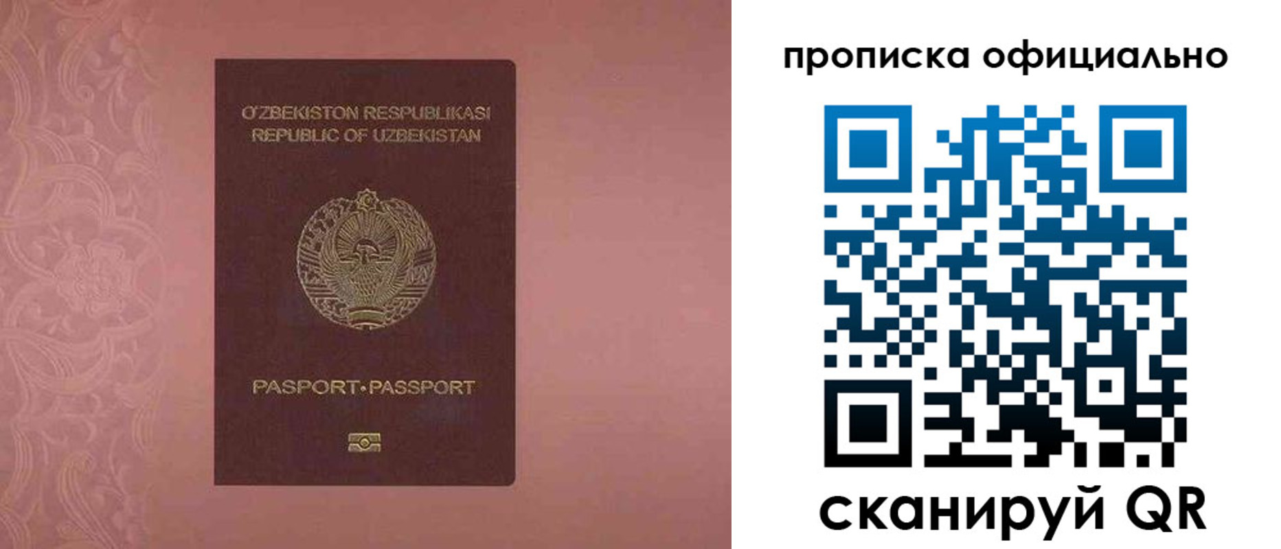 прописка гарантия в Волгоградской области